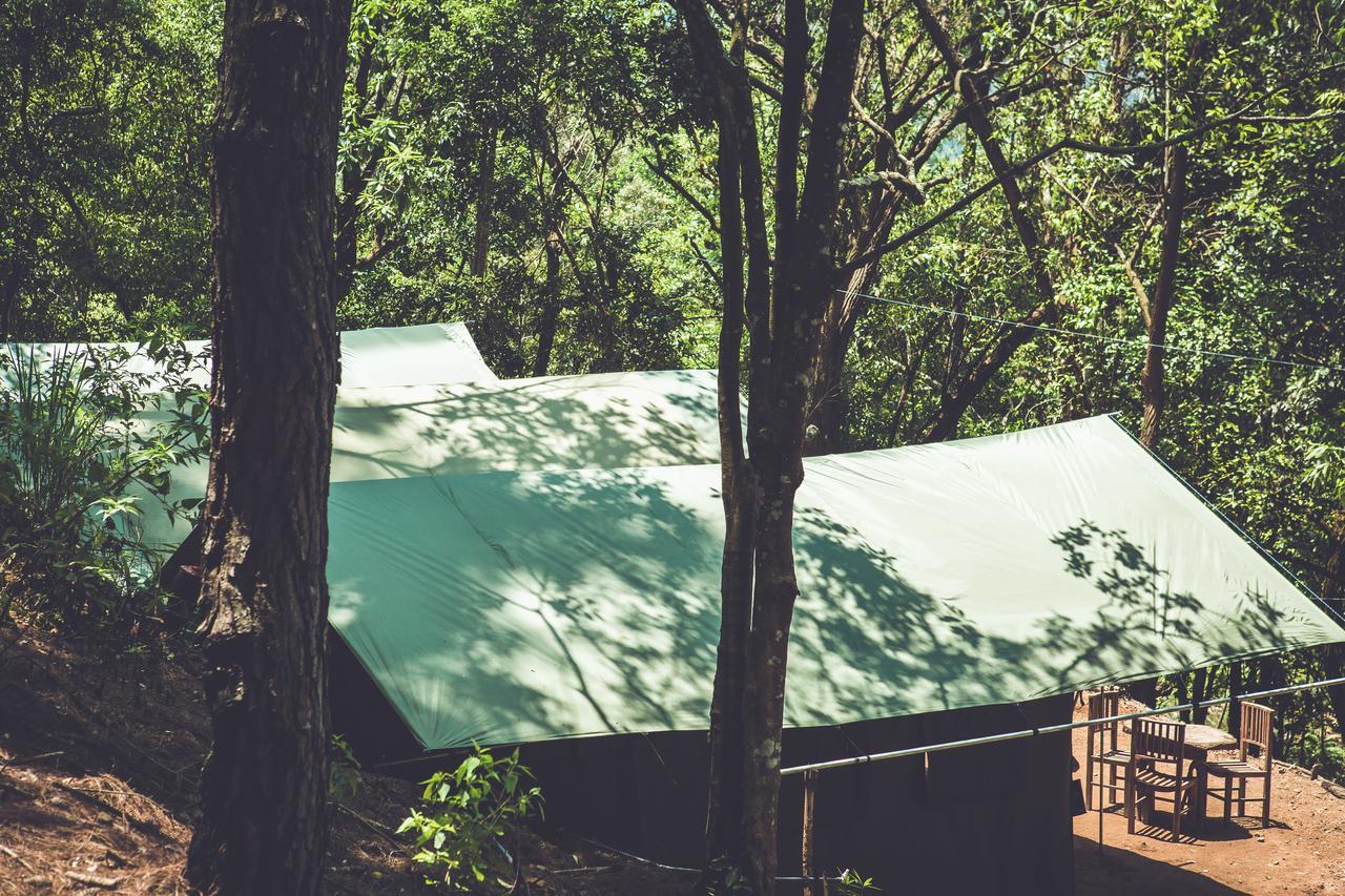 Hotel Ella Glamping Exterior foto