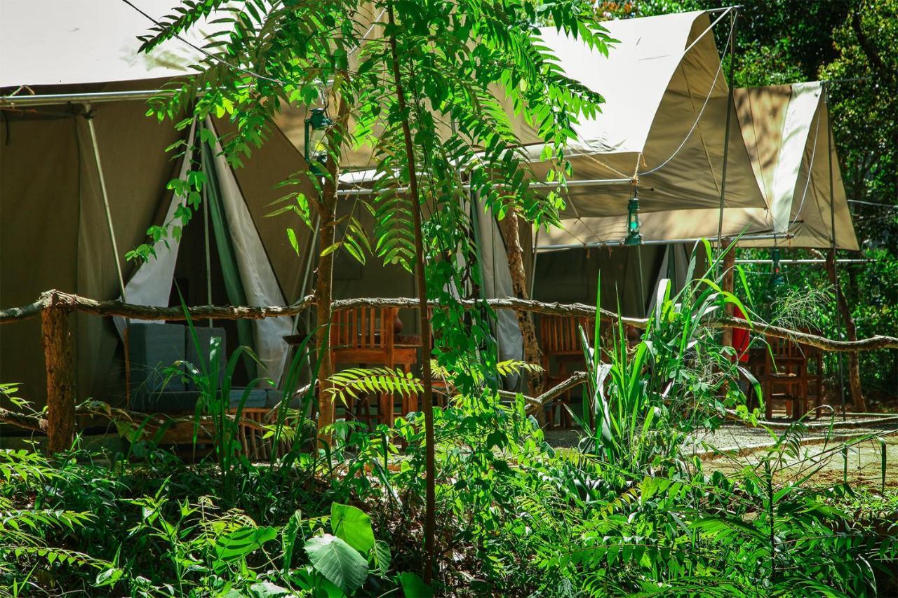 Hotel Ella Glamping Exterior foto