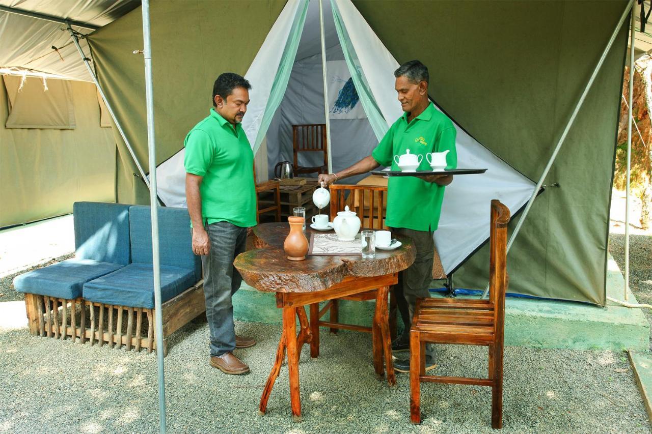 Hotel Ella Glamping Exterior foto